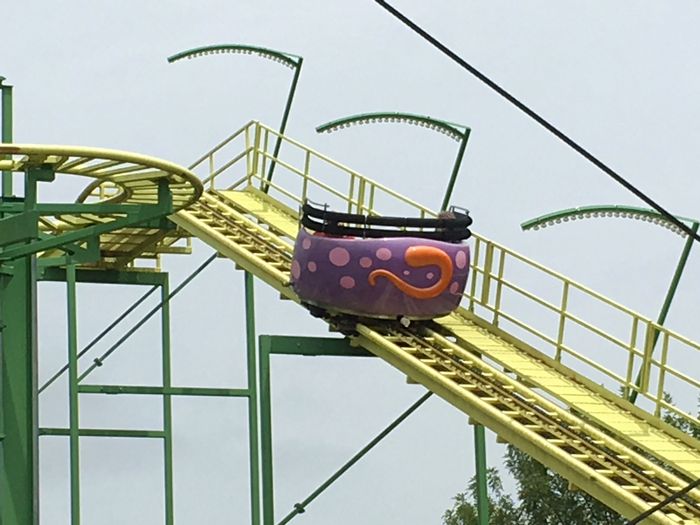 Wild Mouse