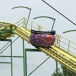 Wild Mouse