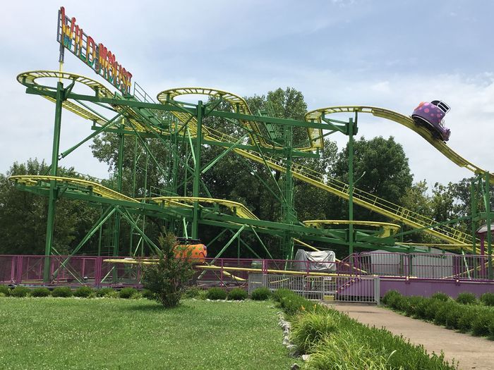 Wild Mouse
