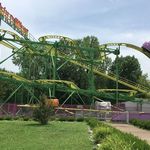 Wild Mouse