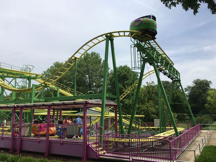 Wild Mouse