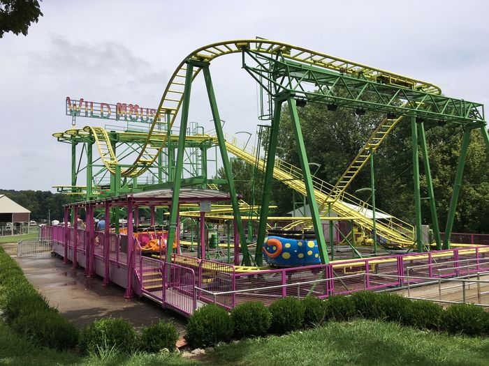 Wild Mouse