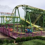 Wild Mouse