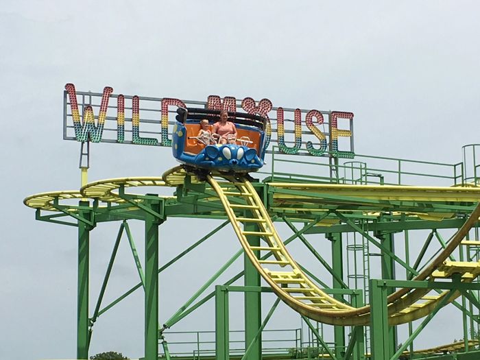 Wild Mouse