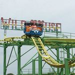Wild Mouse