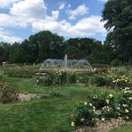 Park of Roses