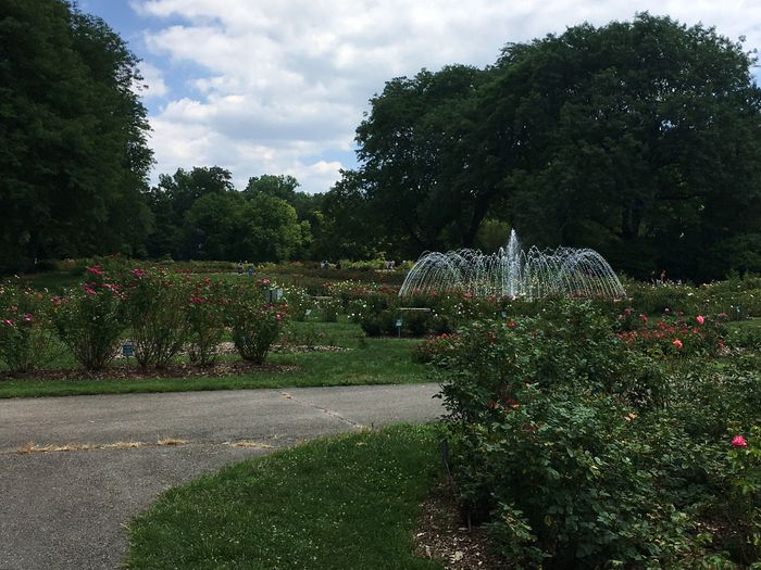 Park of Roses