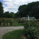 Park of Roses