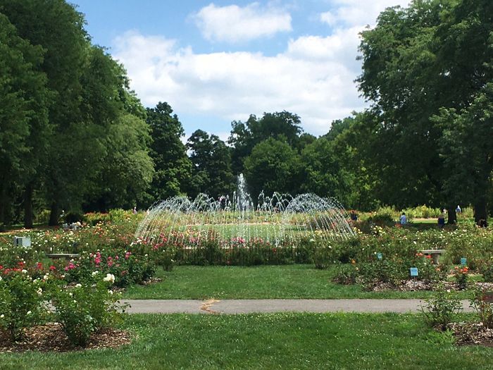 Park of Roses