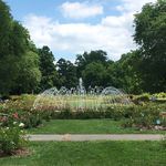 Park of Roses