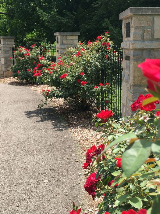 Park of Roses