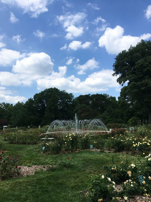 Park of Roses