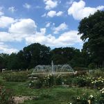 Park of Roses