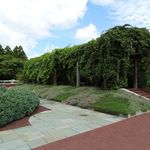 National Herb Garden