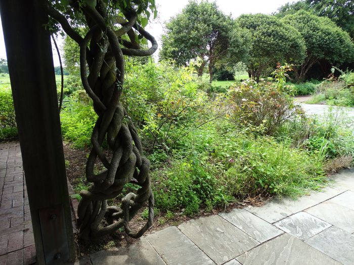 National Herb Garden