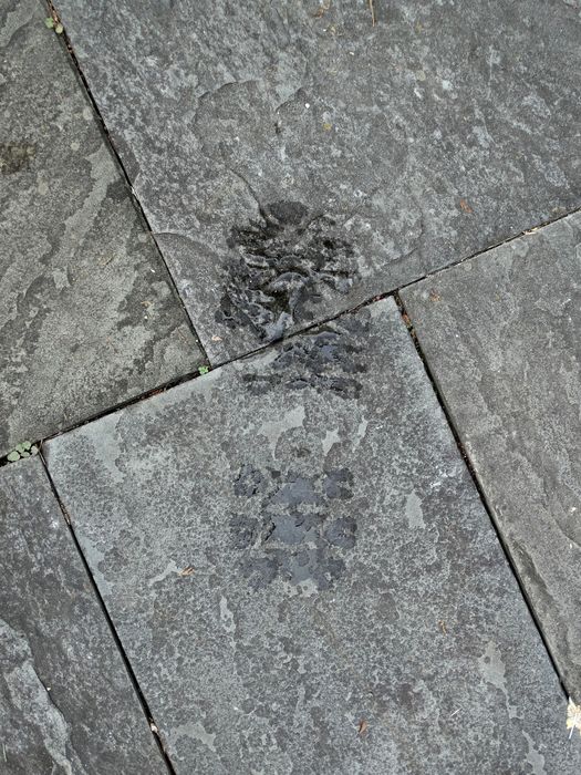 My Footprint