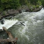 Great Falls