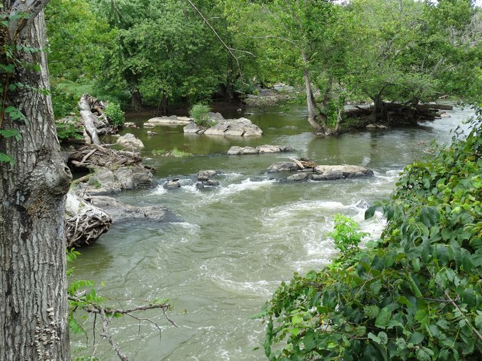 Great Falls