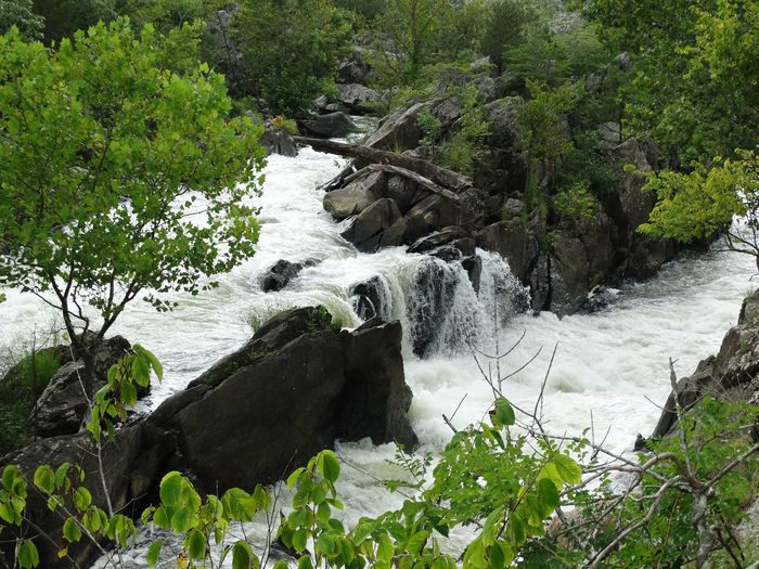 Great Falls
