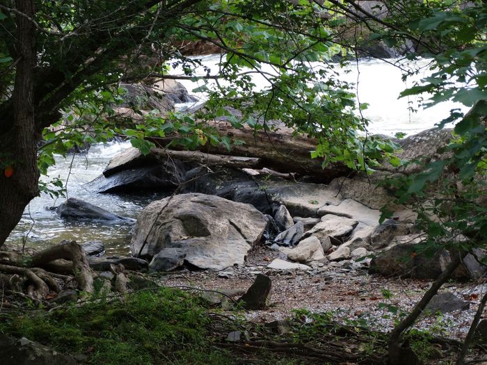Great Falls