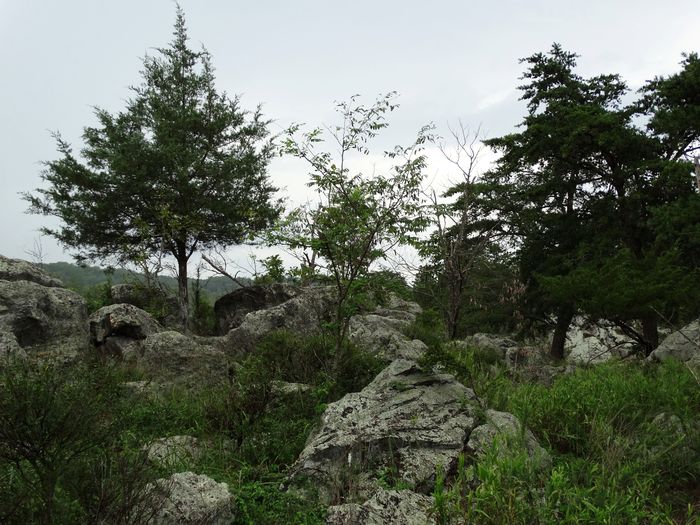 Great Falls