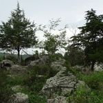 Great Falls