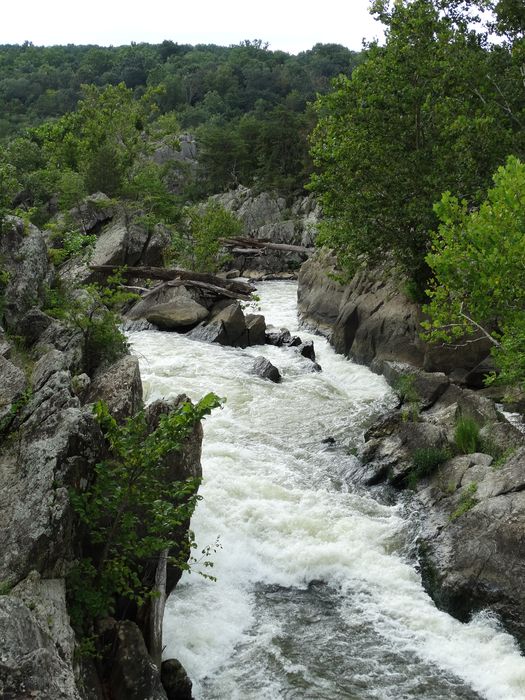 Great Falls