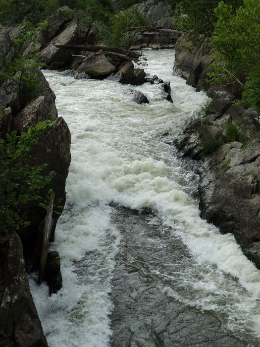 Great Falls