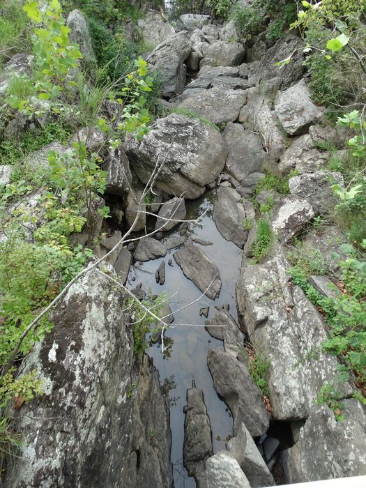 Great Falls