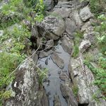 Great Falls