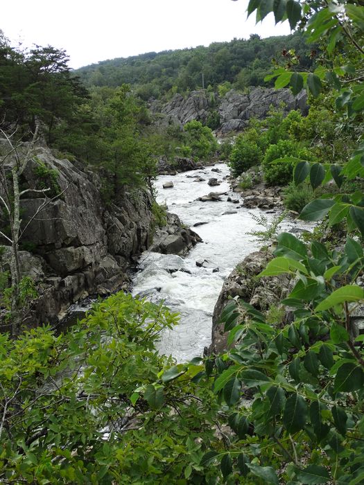 Great Falls