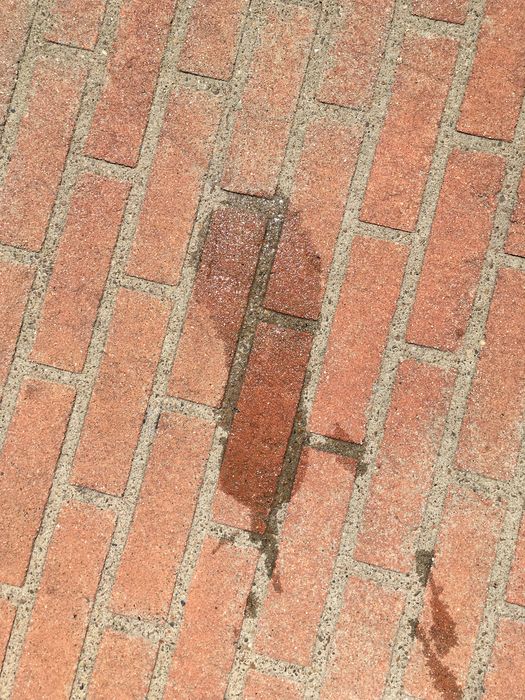 My Footprint