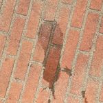 Holiday World - 7/13/2016