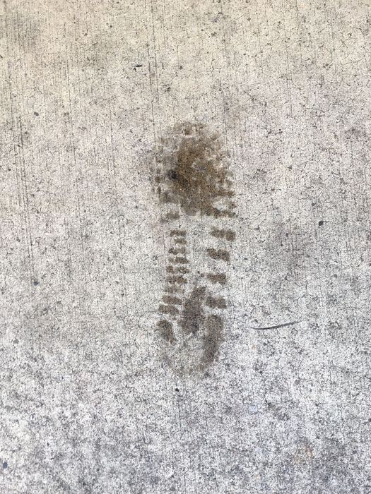 My Footprint