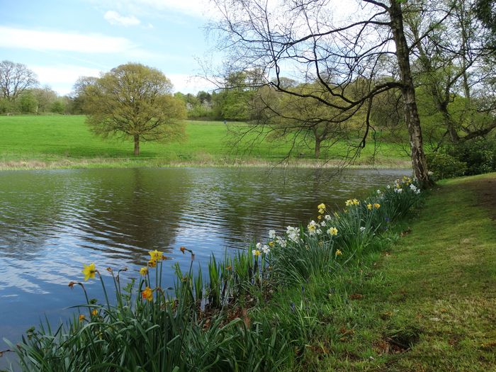 Whitmore Hall Grounds