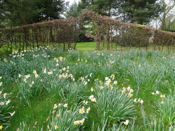 Whitmore Hall Grounds