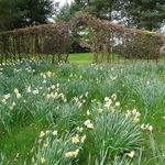 Whitmore Hall Grounds