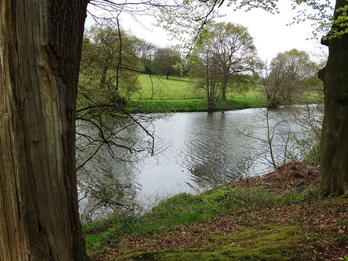 Whitmore Hall Grounds