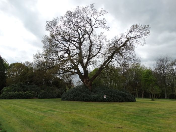 Whitmore Hall Grounds