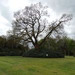 Whitmore Hall Grounds