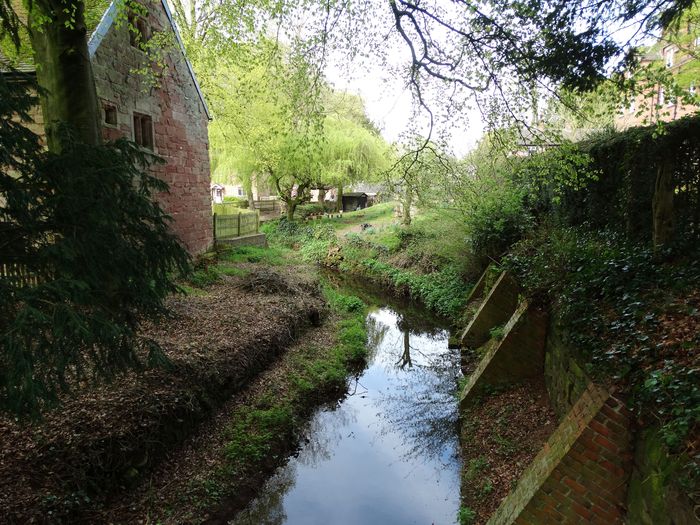 Whitmore Hall Grounds