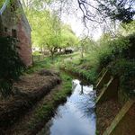 Whitmore Hall Grounds