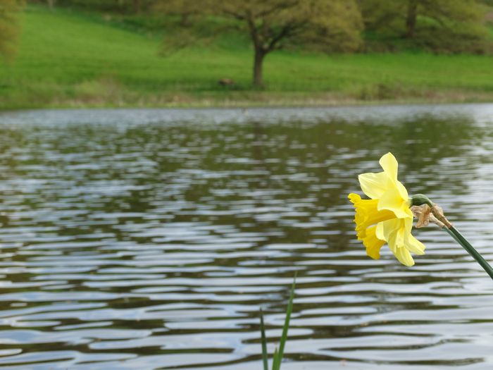 Whitmore Hall Grounds