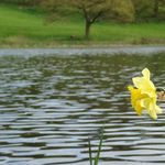 Whitmore Hall Grounds