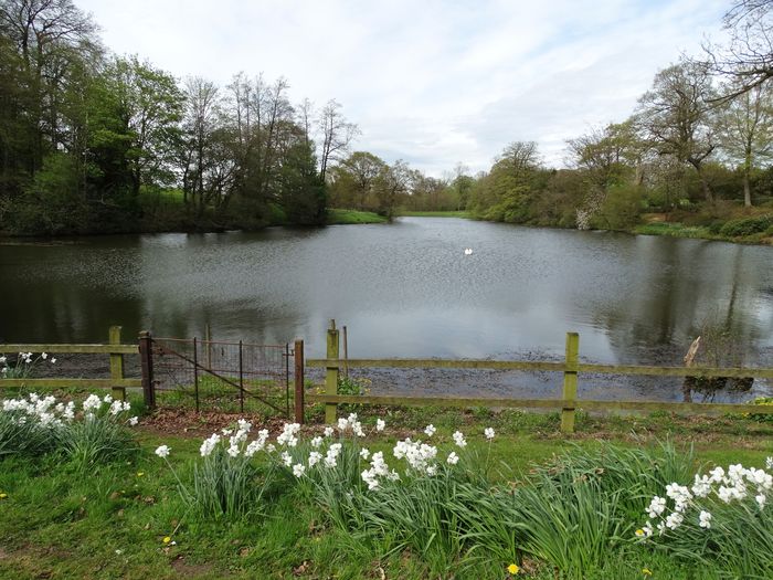 Whitmore Hall Grounds