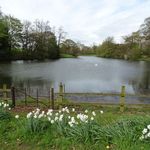 Whitmore Hall Grounds