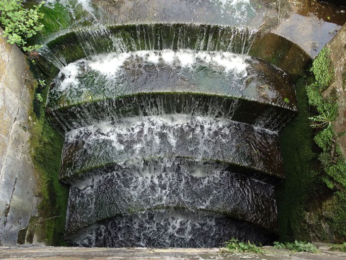Whitmore Hall Grounds