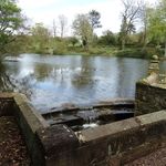 Whitmore Hall Grounds