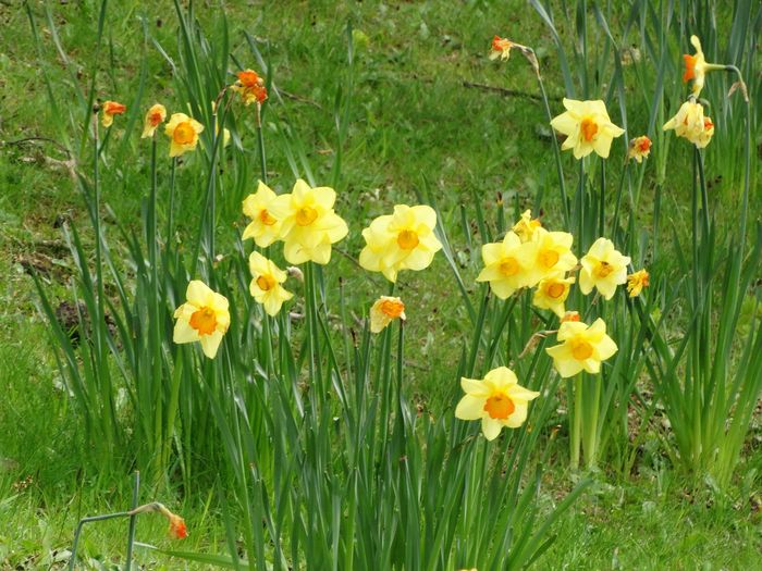 Whitmore Hall Grounds