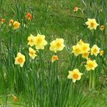 Whitmore Hall Grounds
